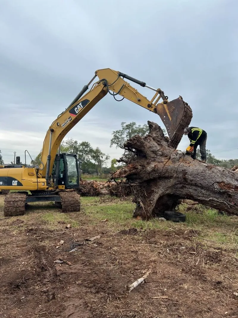 Professional Land Clearing